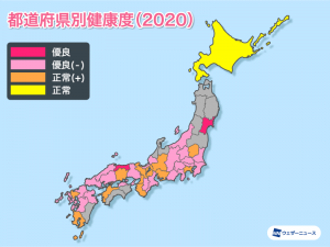【桜の健康診断2020】桜の健康状態は昨年に引き続き悪化、樹勢の衰退傾向が続く
