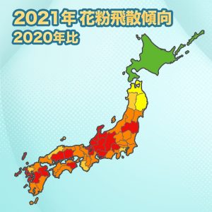 【第一回花粉飛散傾向】来春の花粉飛散量は全国平均で2020年の2倍近くの予想