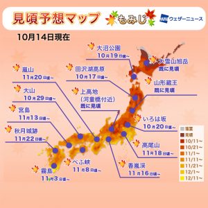 【第二回紅葉見頃予想】東・西日本の見頃時期は平年並の予想　鮮やかな紅葉に期待！