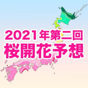 【第二回桜開花予想】桜開花トップは東京で3/18予想、全国的に平年より早い傾向