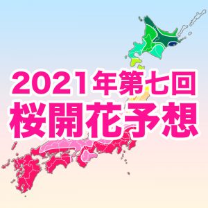 【第七回桜開花予想】西・東日本は今週末にかけて満開ラッシュ、桜前線は北陸・東北へ