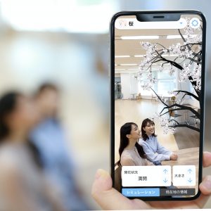 お家でお花見を楽しめる『さくらAR』がアプリ「ARお天気シミュレーター」に登場！