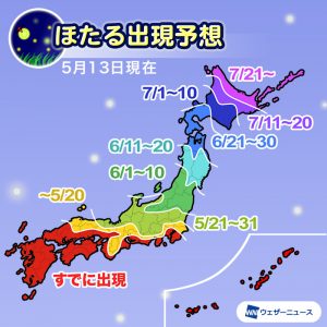 【ほたる出現傾向2021】ほたるの出現は例年並〜早い予想！関東南部は来週にも出現ピークへ
