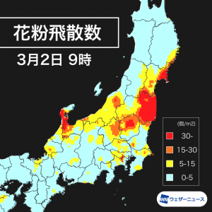 全国の花粉飛散数のリアルタイムデータを無料で公開