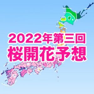桜開花トップは東京で3/19、開花時期は平年並〜早い予想