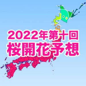 桜前線は東北北部を北上中！いよいよ来週、北海道へ