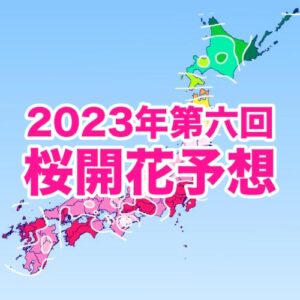 来週にかけて西・東日本で桜開花ラッシュ！東京都心は来週にも満開へ