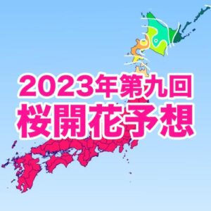 桜前線は東北北部を北上中！来週にも北海道に上陸