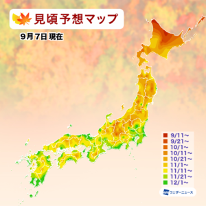 【第一回紅葉見頃予想】2023年の紅葉、高温傾向で一部の色付きに遅れも広範囲で見頃は平年並