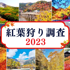 今秋は6割以上が紅葉狩りへ！行ってみたい紅葉名所第1位は「嵐山」