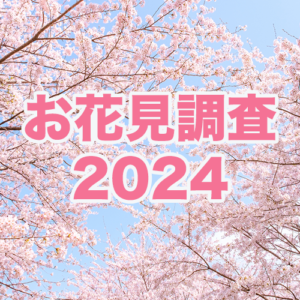 今年のお花見は過半数が「行く」！お花見予算は過去6年で最高額