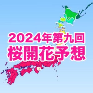 西・東日本の桜は満開ラッシュ、桜前線は東北南部を北上中