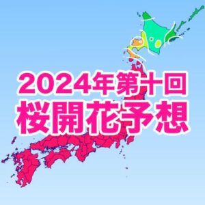 桜前線は北海道へ 札幌などゴールデンウィーク前から見頃に