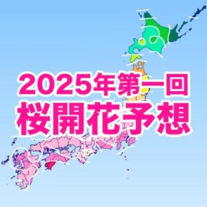 桜の開花は3/21東京からスタート！西〜東日本は平年並の開花予想