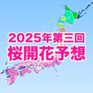 桜の開花開始は東京・福岡・高知で3/21、広範囲で平年並から早い開花