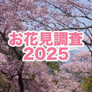 お花見予算は年々上昇、過去7年で最高額を記録