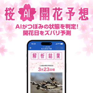 日本初、桜のつぼみ写真から開花日を予測する『桜AI開花予想』をアプリで提供開始