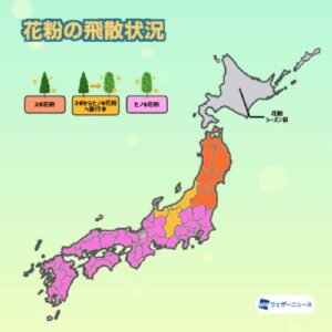 3月までの飛散量は前年比1.4倍、花粉の本格飛散は西・東日本で4月中旬まで