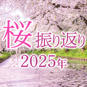桜の見頃日数は昨年より長く、お花見に行った人の割合が昨年より増加傾向に