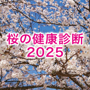 【桜の健康診断2025】　健康状態、2023年の過去最悪から2年連続回復