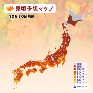 【第三回紅葉見頃予想2025】今年の紅葉、東北〜九州は高温の影響で「平年並〜平年よりやや遅い」見頃に