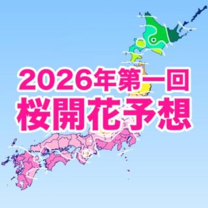 【第一回桜開花予想】桜の開花は3/21東京から開始！北日本では1週間以上早い開花のところも