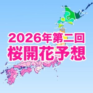 【第二回桜開花予想】春の便りは3/21福岡と東京からスタート！西・東日本は平年並かやや早い開花に