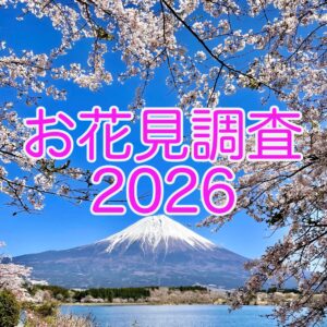 お花見滞在は平均1時間超！若者は「写真」、大人は「自分の目」で楽しむスタイル