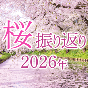 今年の桜は記録的早さで開花　お花見タイミングは約3割が合わず
