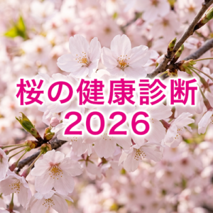 【桜の健康診断2026】　桜の健康状態は衰退傾向、全国平均で過去最低を記録